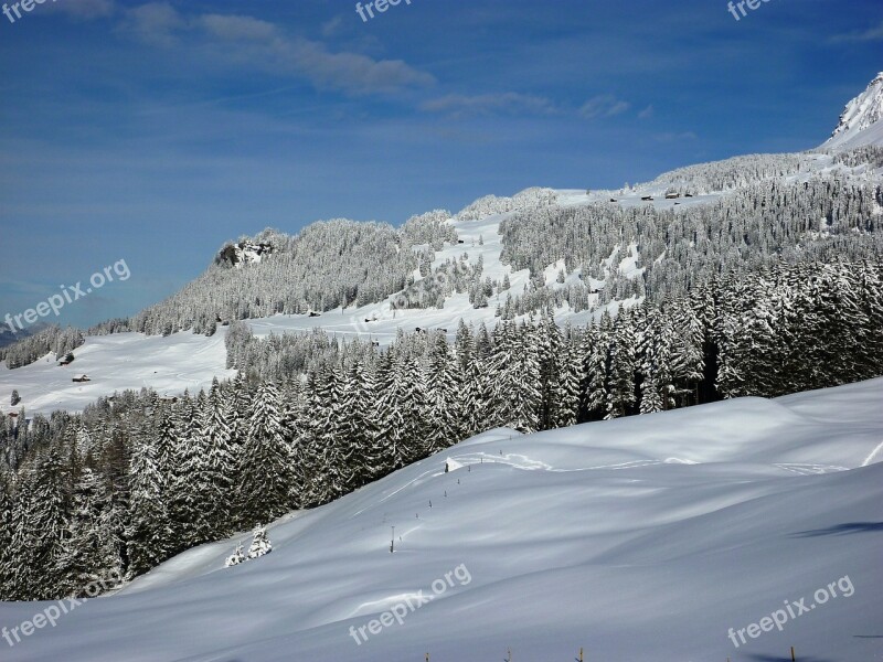 Winter Snow Wintry Cold Landscape