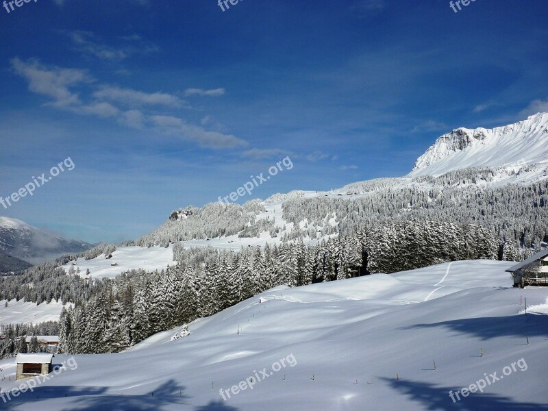 Winter Snow Wintry Cold Landscape