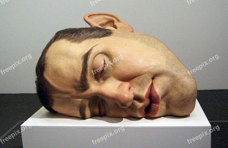 Ron Mueck Mask Arts Exposure Municipal Art Gallery Of Sp