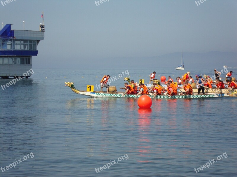 Rowing Team Sports Sea Free Photos