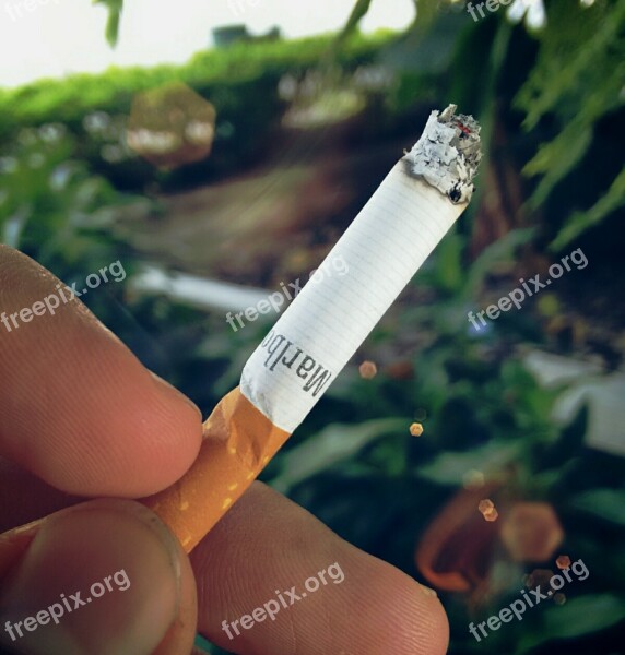 Cigar Cigarette Smoking Tobacco Smoke