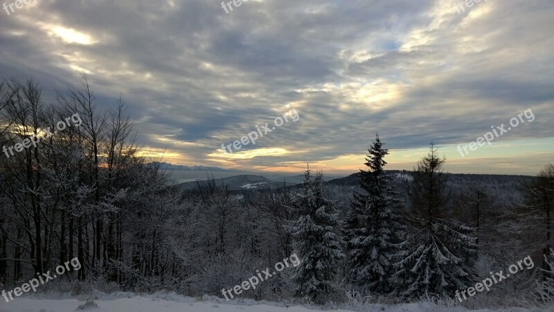 Winter Mountains Forrest Free Photos