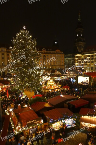 Christmas Market Dresden Germany Christmas Tree The Lights