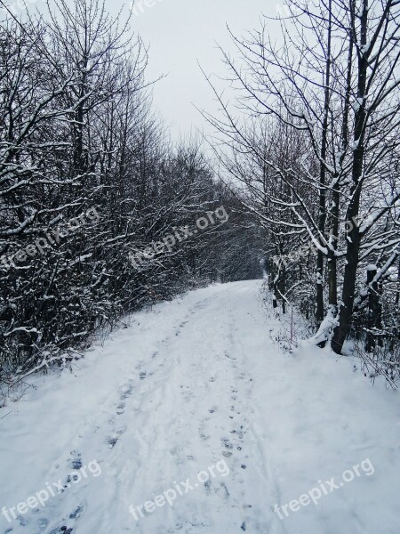 Winter Path Print Snow Tracks