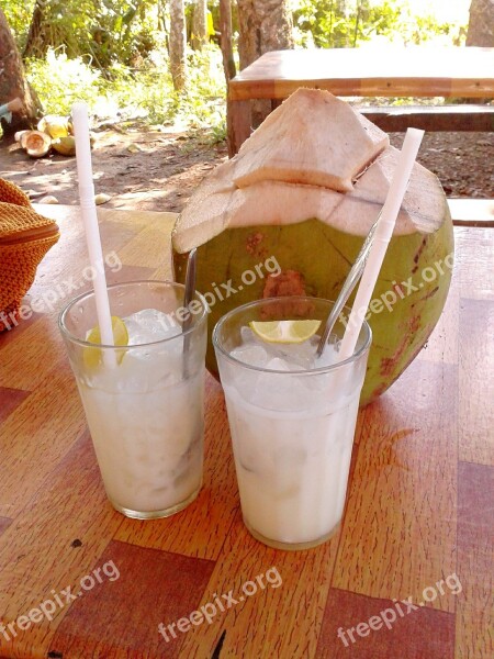 Drink Coconut Tropical Fruit Fresh