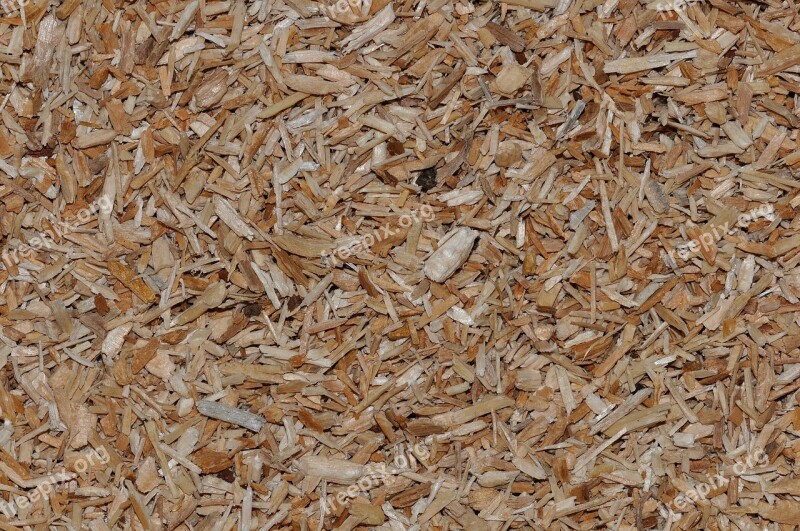 Wood Chips Pieces Of Wood Close Up Natural Material Texture