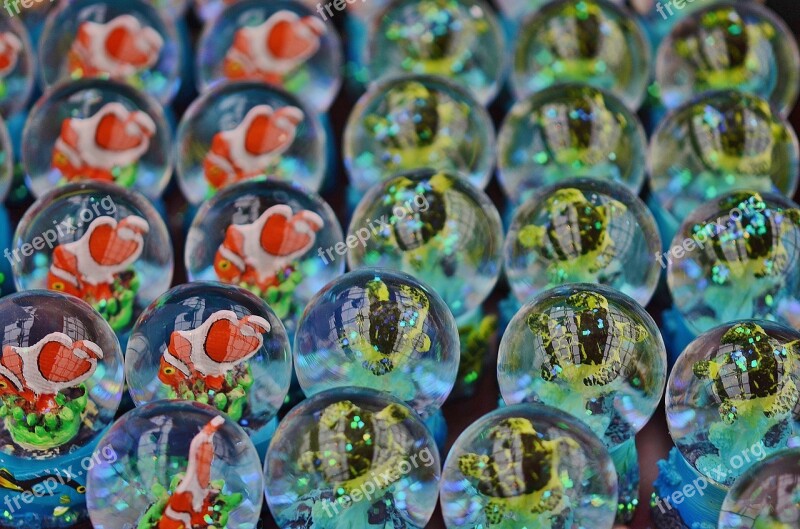 Glass Bubbles Blue Fishes Marine