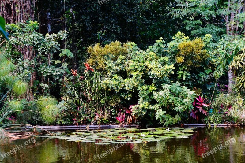 El Salvador Island Nature Water Mangrove Swamp