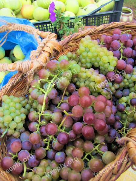 Grapes Berry A Bunch Of Basket Green