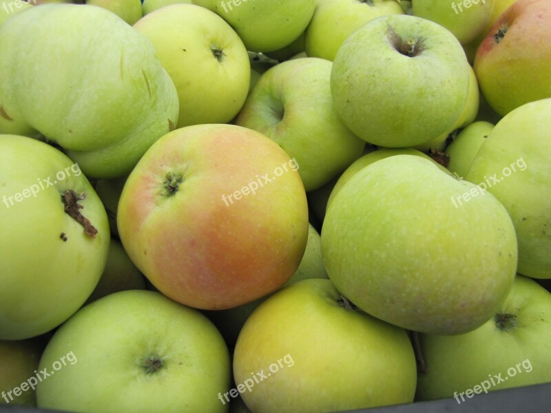 Apples Fruit Summer Nature Good