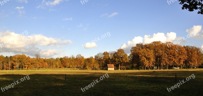 Landscape Autumn Nature Trees Mood