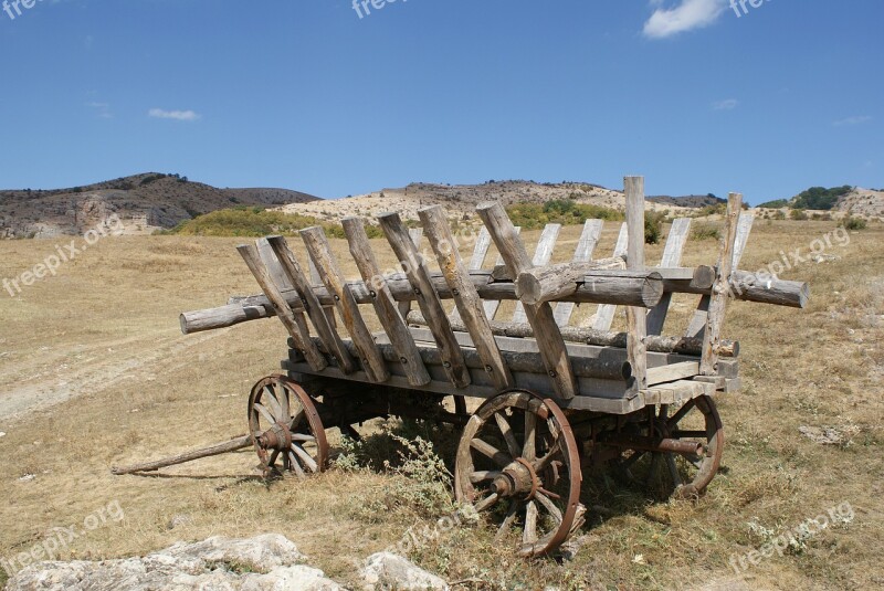 Carriage Perevalnoje Horse-drawn Ukraine Crimean