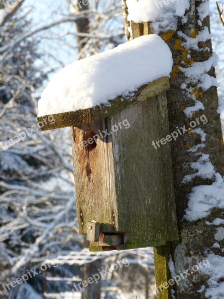 Birdhouse Snow Winter Forest Tree