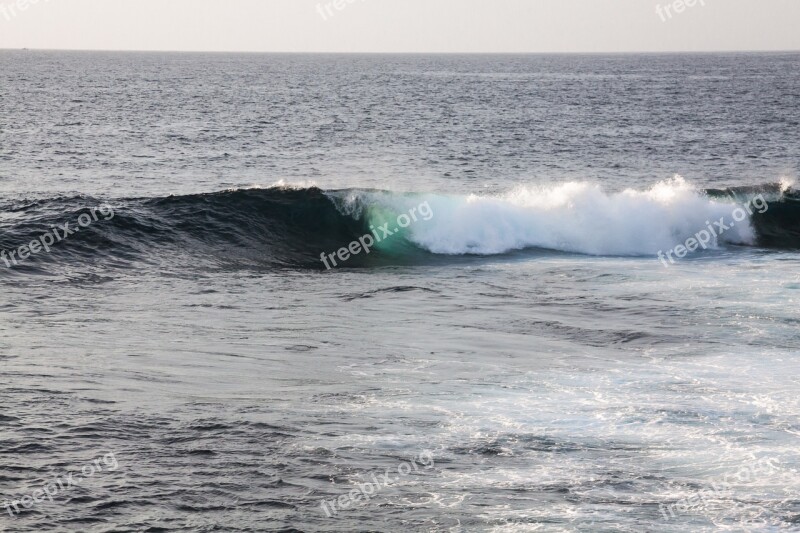 Wave Ocean Flood Sea Water