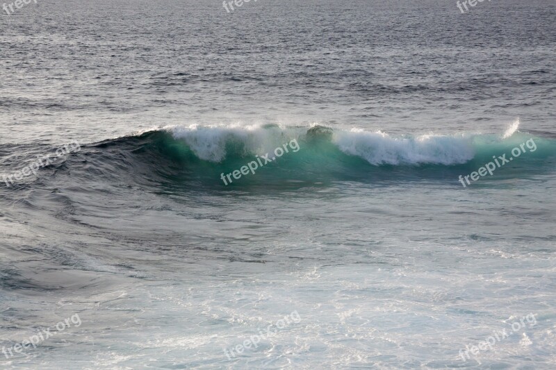 Wave Ocean Flood Sea Water