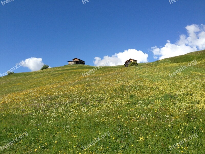 Tyrol Fiss Wildflowers Flowers Barns