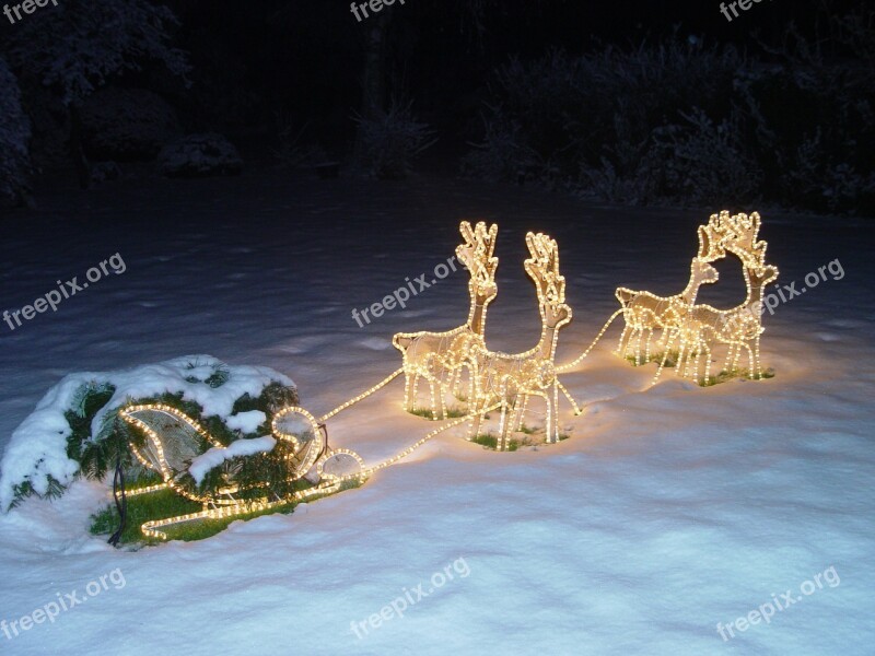 Animal Racing Sled At Night Illuminated Free Photos