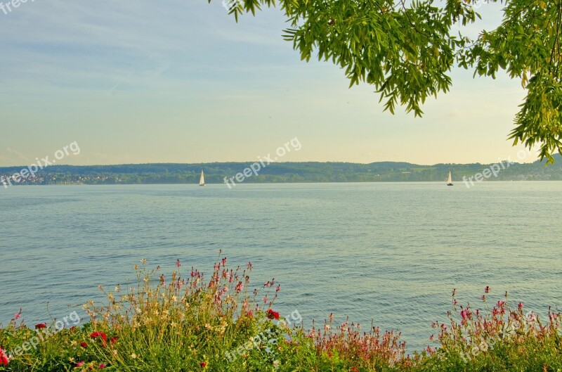 Lake Constance überlingen Lake Sunset Sail