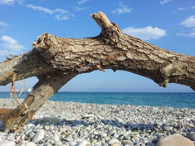 Sea Pebble Beach Log Pebble Blue