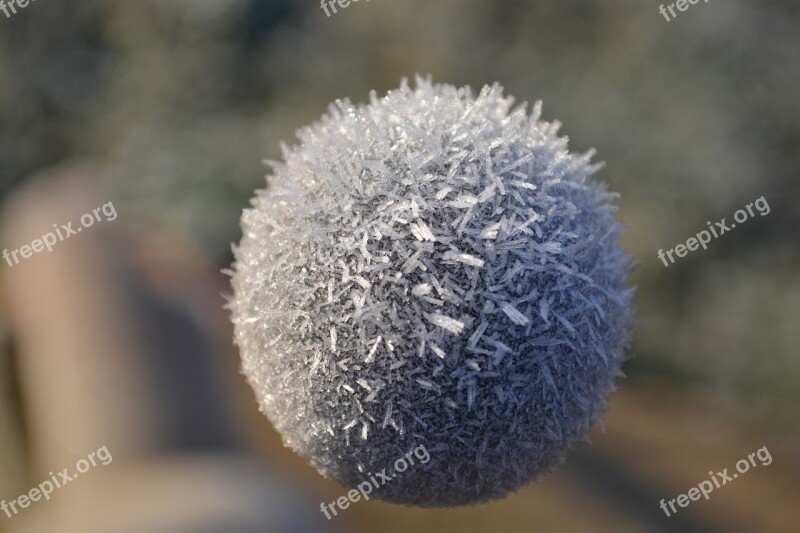 Frost Ball Winter Free Photos