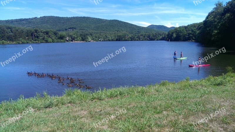 Lake Biltmore Geese Paddle Boards