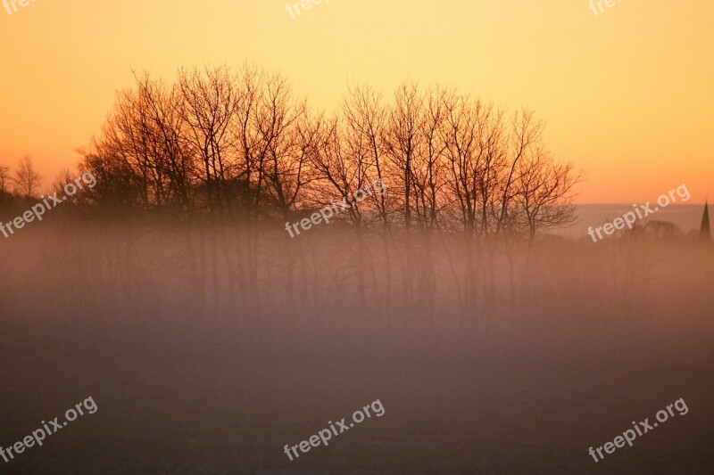 Mist Nature Landscapes Tree Sunset