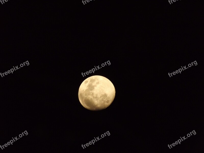 Moon Dark Black Night Free Photos