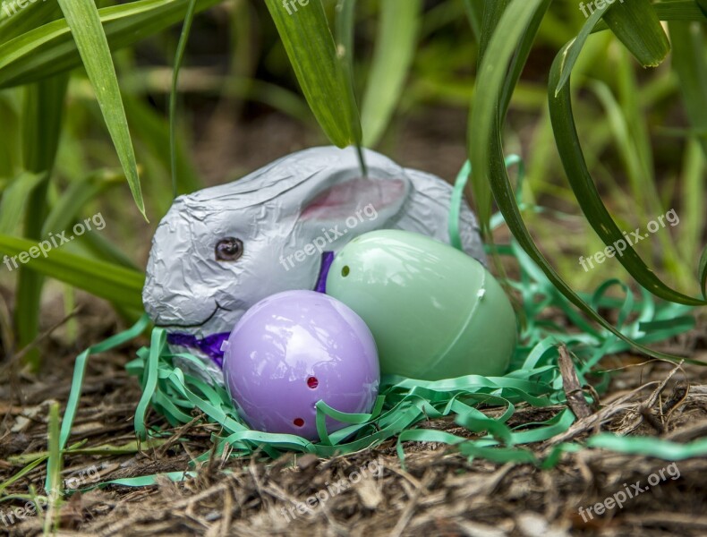 Easter Eggs Holiday Spring Colorful