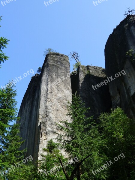 Rock Wall Trees Stone Nature Bohemia