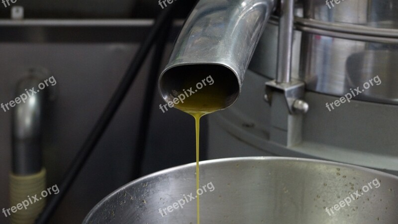 Olive Oil Production Manufacture Factory Agriculture