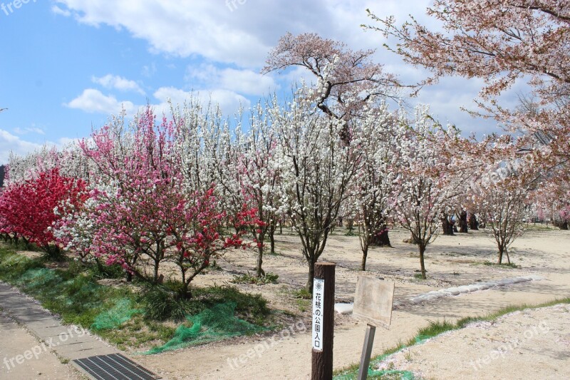 Hanamomo Park Iizaka Iizaka Hot Spring Fukushima Free Photos