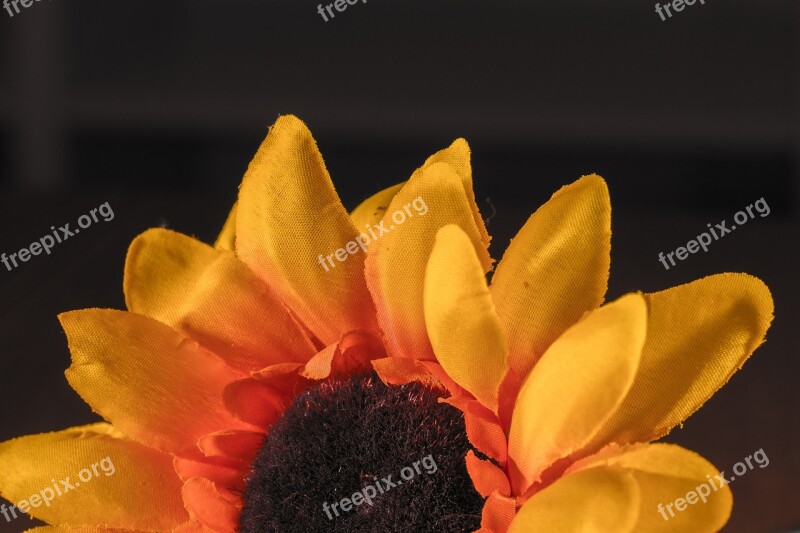 Sunflower Fabric Flower Yellow Orange Macro