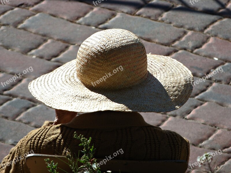 Sunbathing Women Elderly Woman Peace Warmth