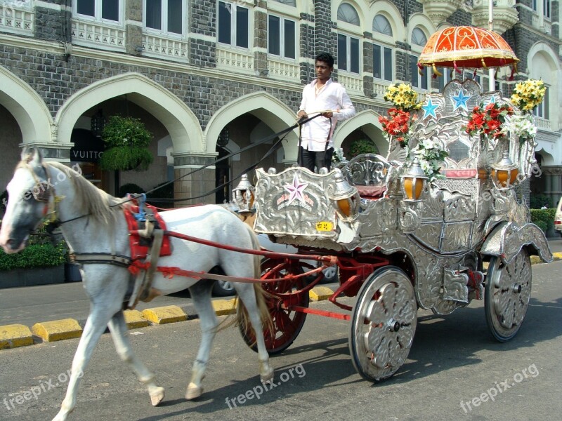 Cart Horse Cart Horse Chariot Carriage Vintage