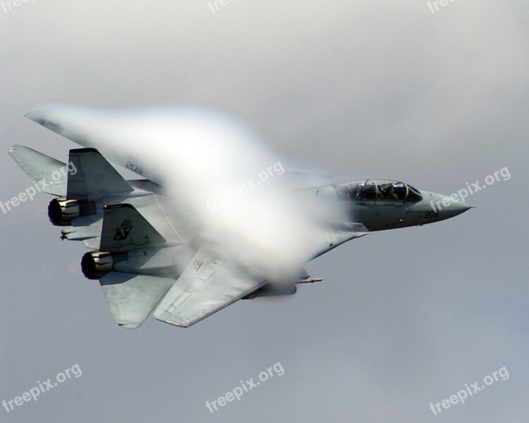 Air Show Military F-14 Tomcat Jet