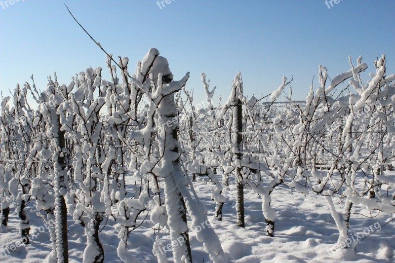 Snow Winter Icy Cold Landscape