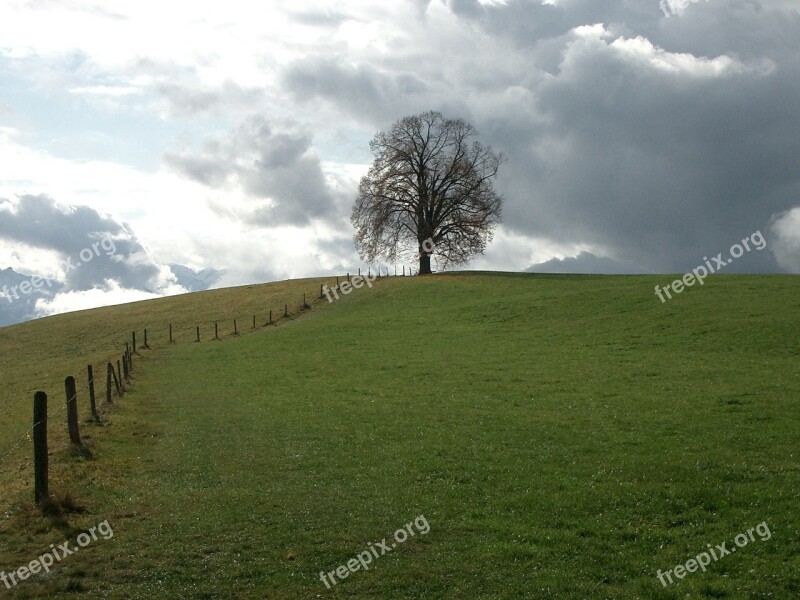 Rain Clouds Pasture Tree Free Photos