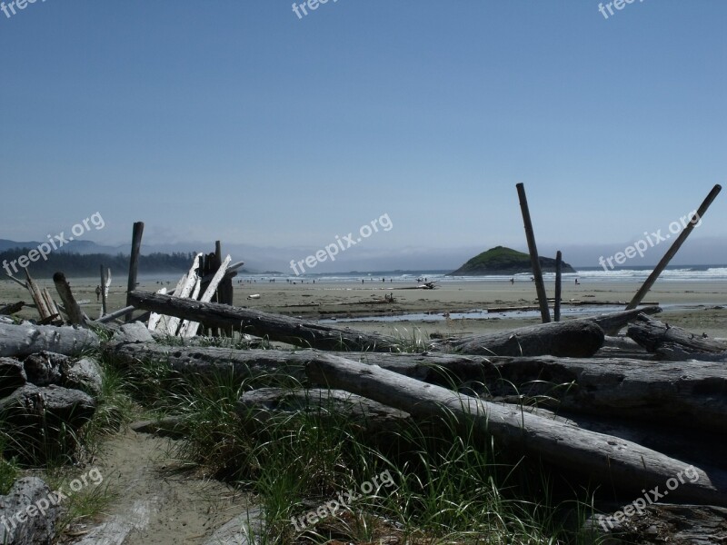 Long Beach Driftwood Sand Ocean Coast