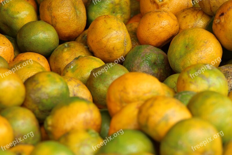 Fruit Orange Caruaru Fair Farmer