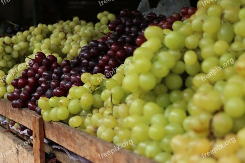 Grapes Fruit Agriculture Brazilian Caruaru