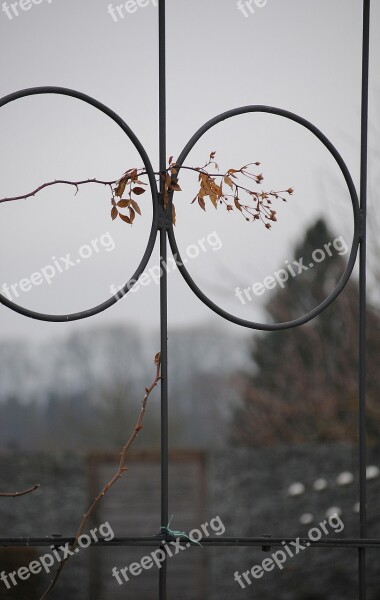 Garden Decoration Ornament Rings Condolences