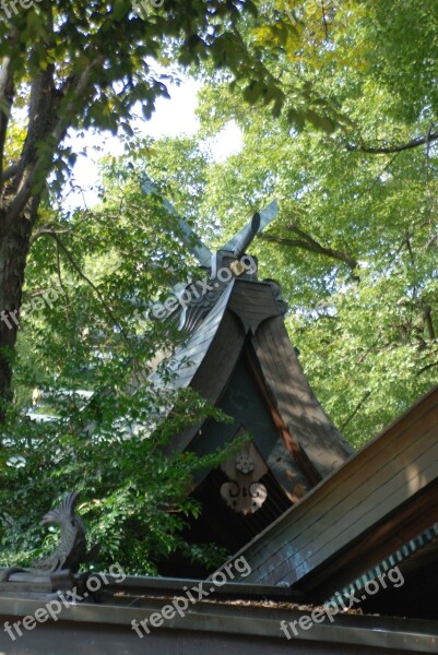 Building Religion Shinto Shrine Roof