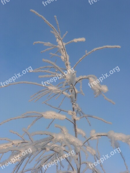 Sky Frost Snow Winter Finnish