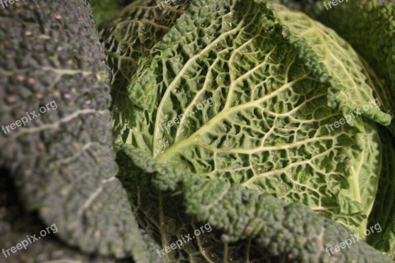 Savoy Cabbage Kohl Healthy Vegetables Green