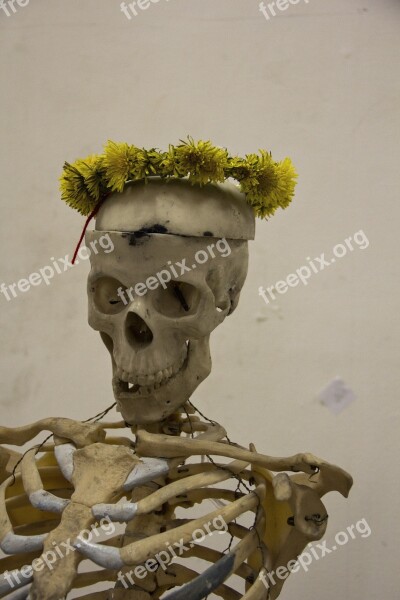 Skeleton Man Skull Bone Wreath