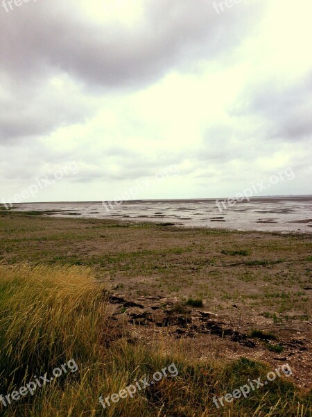 Beach Sea Watts North Sea Wadden Sea