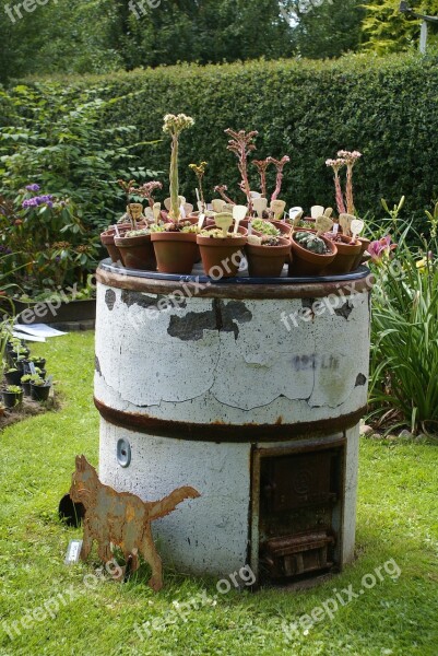 Plant Planting Trough Cactus Garden Washtub