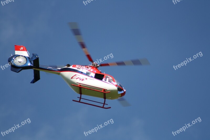 Rc Modelling Helicopter Scale Model Making Free Photos