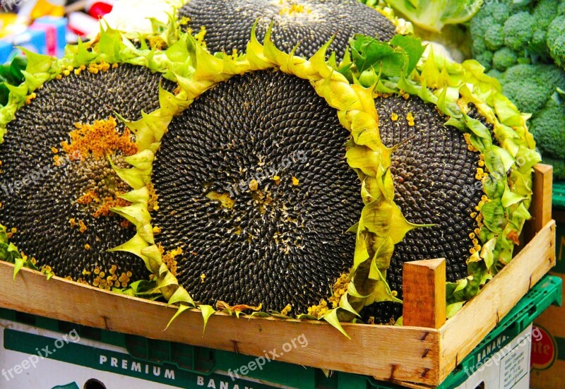 Sunflower Seeds Market Stary Kleparz Traditional