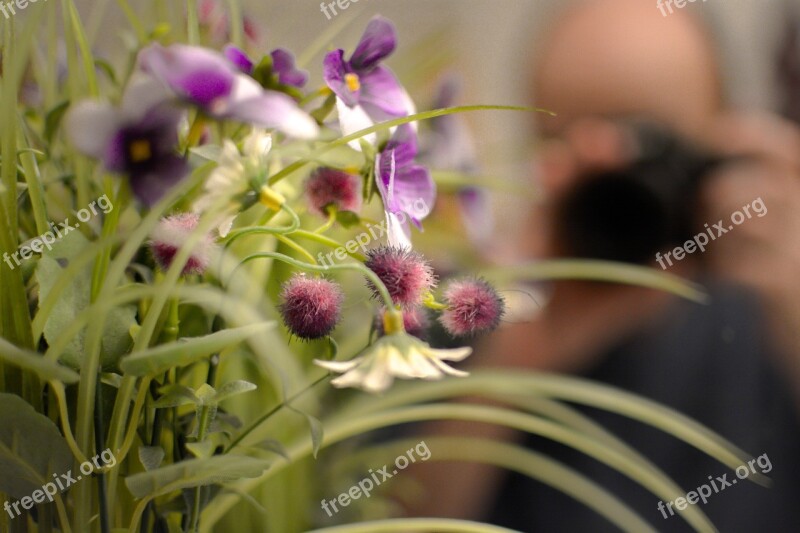 Flower Photographer Mirror Photograph Camera